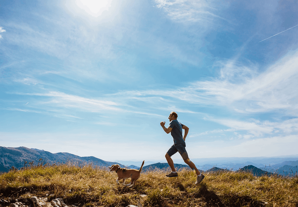 man runs with his beagle dog on mountain top 2