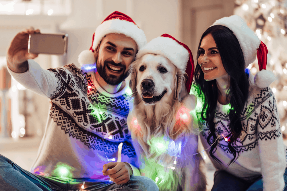 merry christmas and happy new year happy couple with dog labrador retriever waiting for the new year in santa claus hats while sitting near beautiful christmas tree at home smiling and making selfie 1