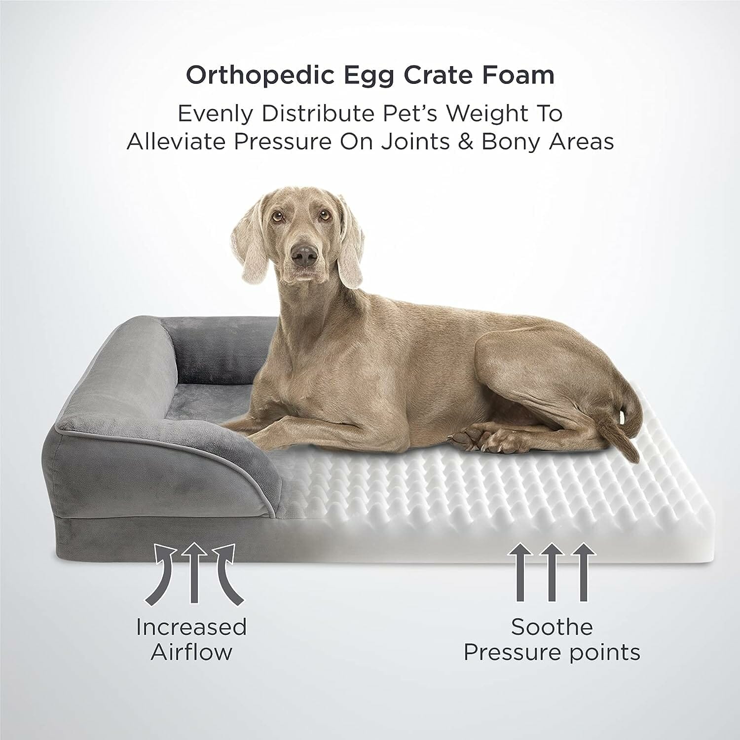 Bedsure Orthopedic Dog Bed for Medium Dogs -Foam Sofa with Removable Washable Cover, Waterproof Lining and Nonskid Bottom Couch, Pet Bed