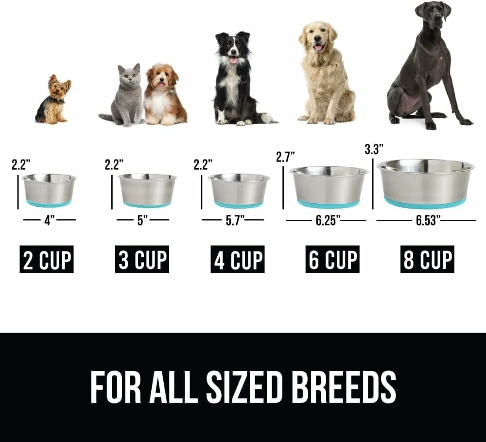 Gorilla Grip Stainless Steel Metal Dog Bowl Set of 2, Rubber Base, Heavy Duty, Rust Resistant, Food Grade BPA Free, Less Sliding, Quiet Pet Bowls for Cats and Dogs, Dry and Wet Foods 2 Cups, Turquoise