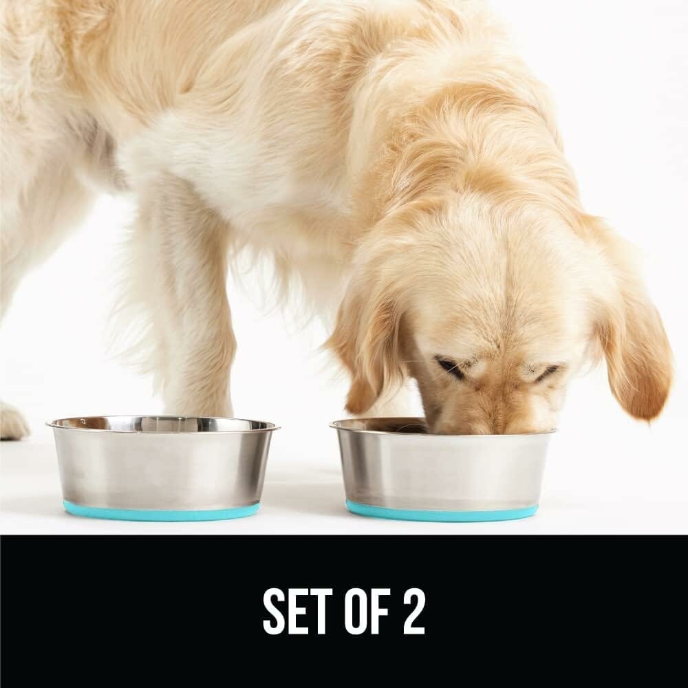 Gorilla Grip Stainless Steel Metal Dog Bowl Set of 2, Rubber Base, Heavy Duty, Rust Resistant, Food Grade BPA Free, Less Sliding, Quiet Pet Bowls for Cats and Dogs, Dry and Wet Foods 2 Cups, Turquoise