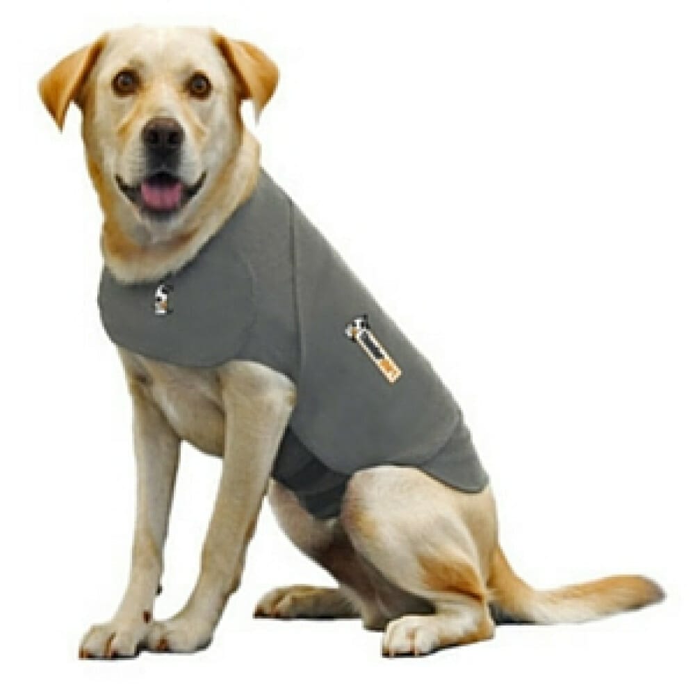 How long can a dog wear a Thundershirt? Essential information
