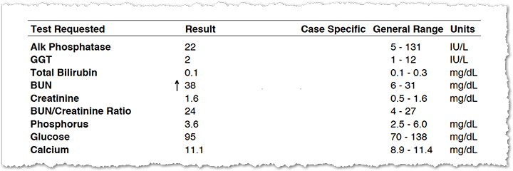 How Long Does Dog Blood Work Take