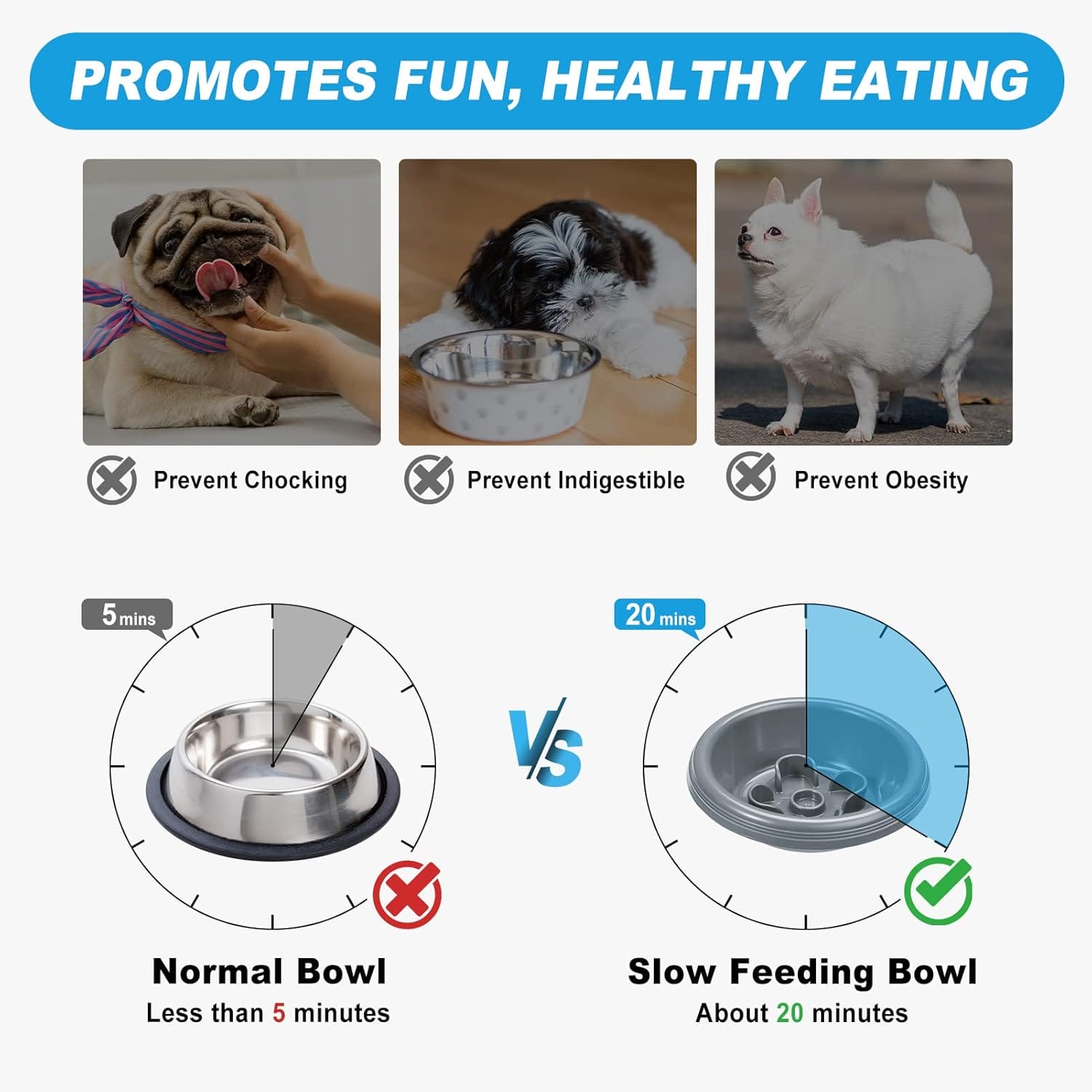 burgeonnest pet slow feeder bowl review 1 2